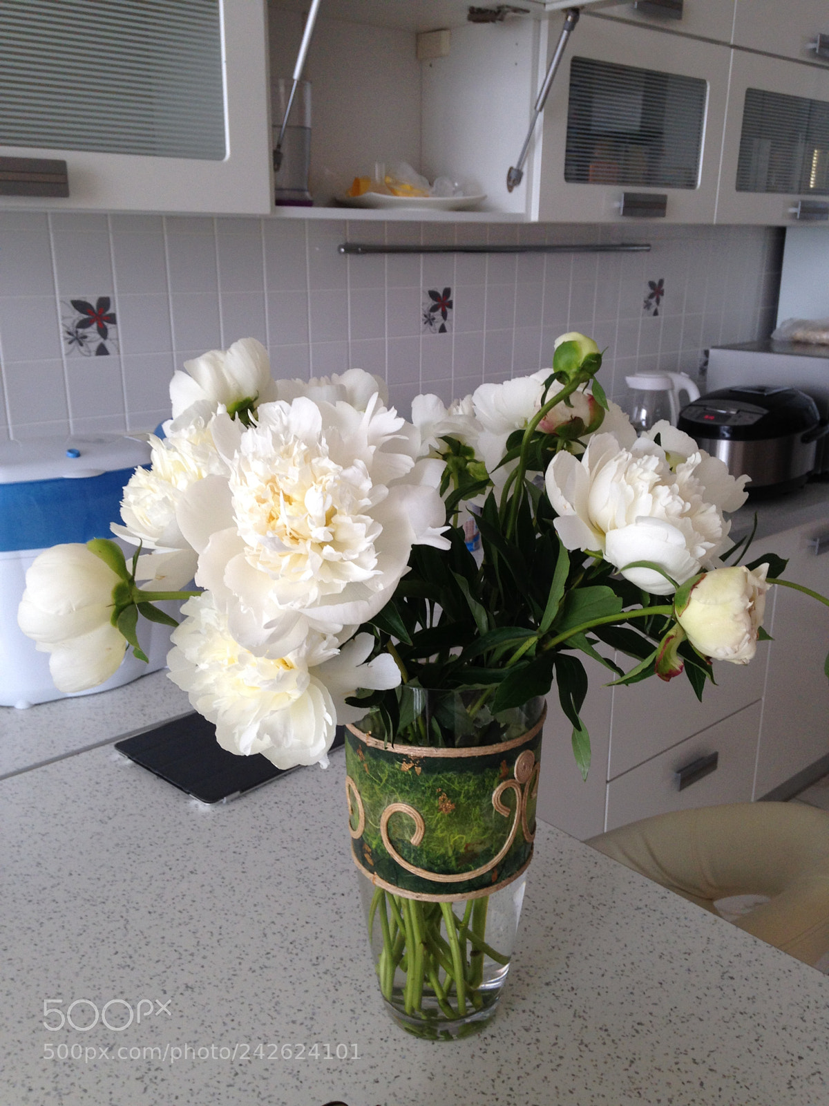 Apple iPhone 5c sample photo. Flowers photography