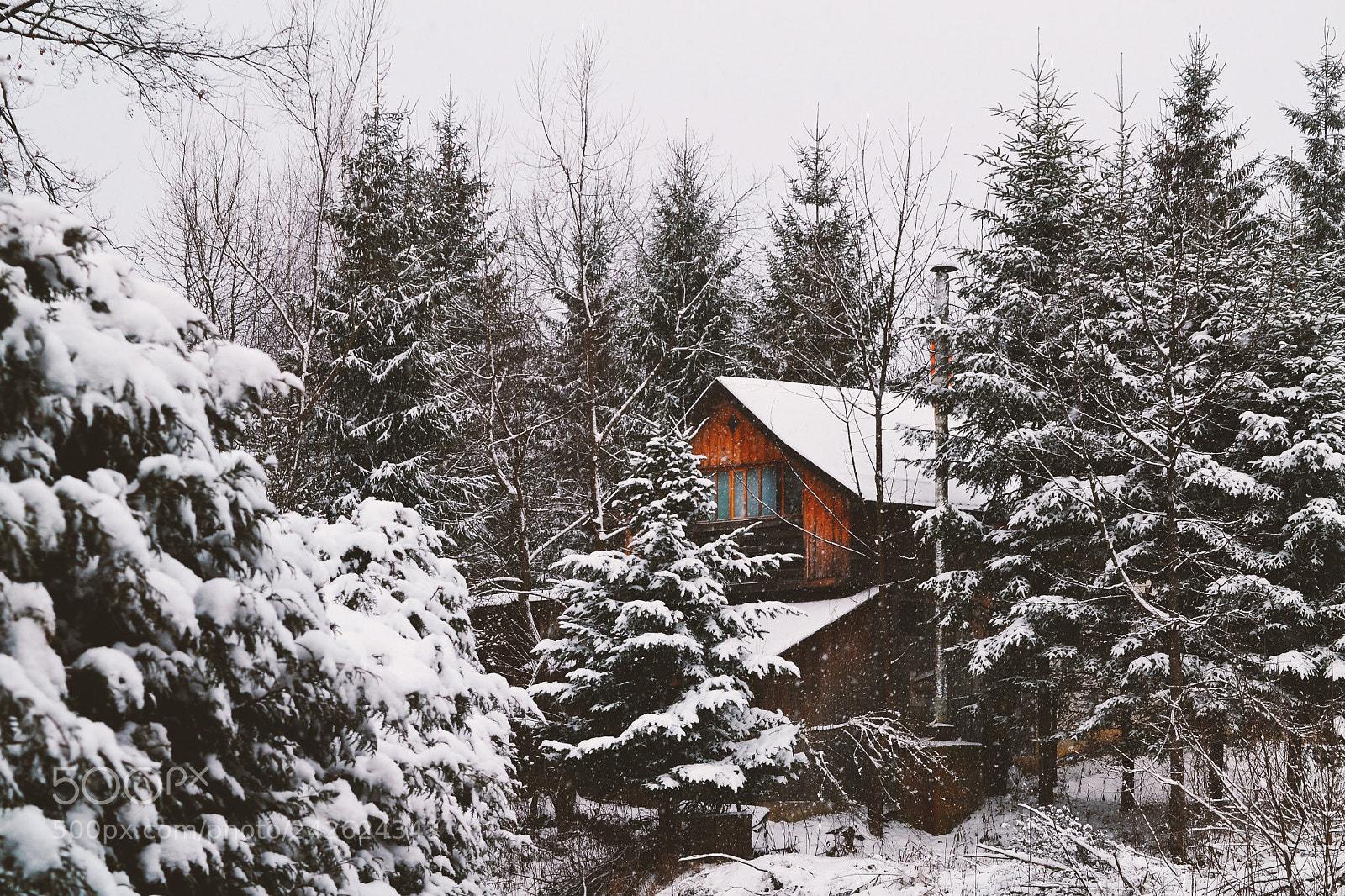 Nikon D3100 sample photo. House in winter time photography