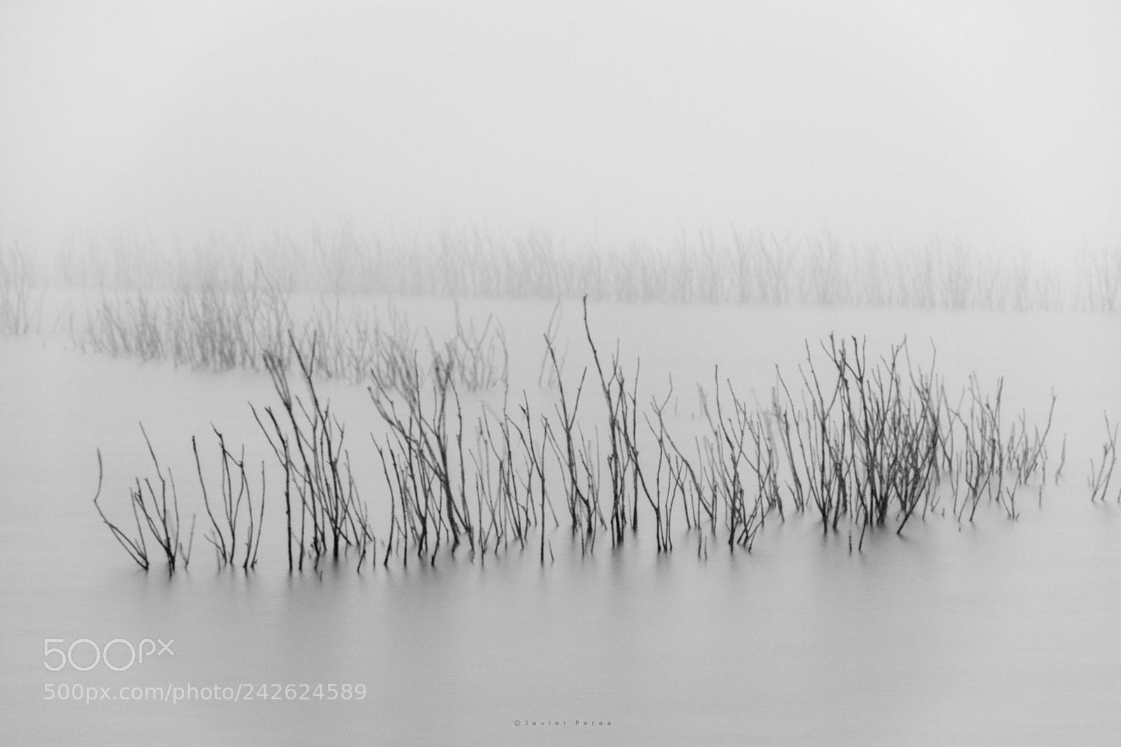 Nikon D7100 sample photo. Fog ii photography