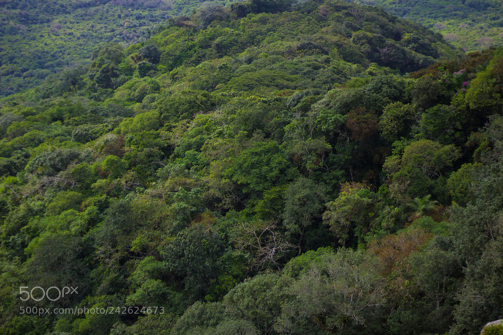 Canon EOS 1200D (EOS Rebel T5 / EOS Kiss X70 / EOS Hi) sample photo. Vis o da pedra photography