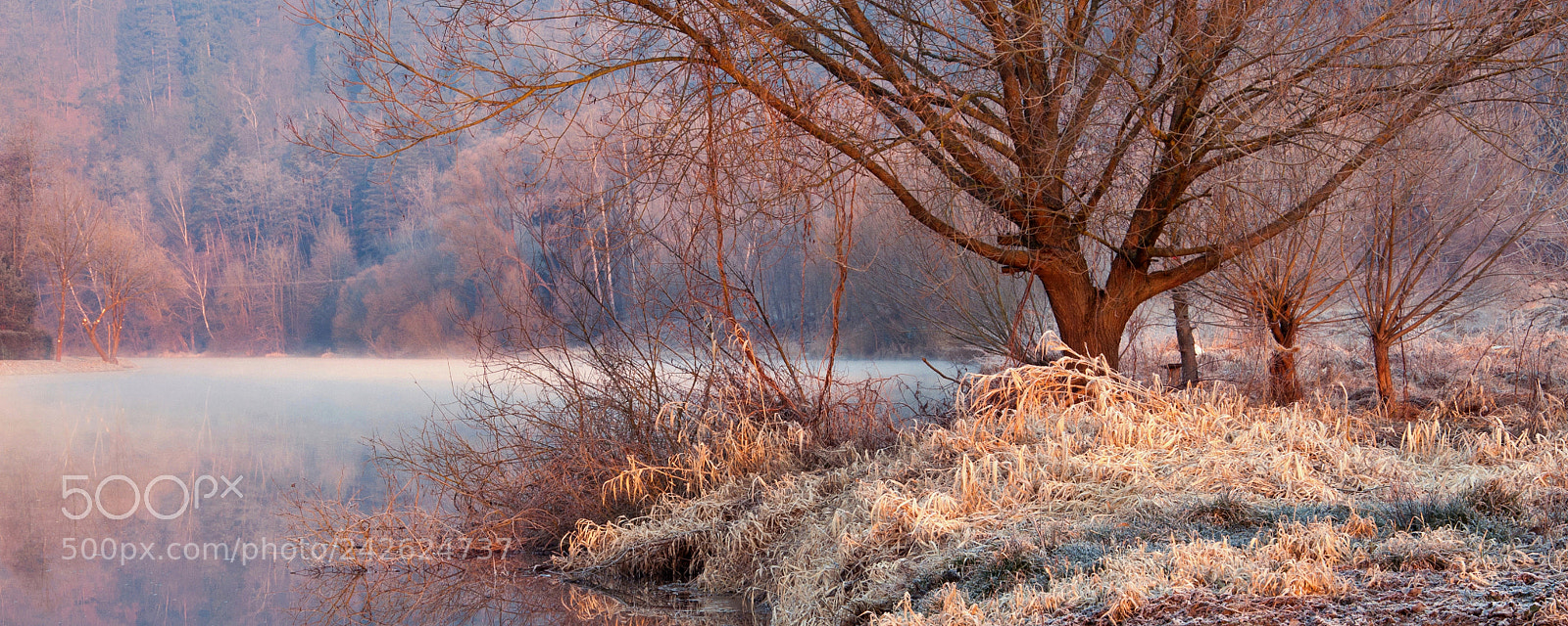 Nikon D90 sample photo. Red blue dawn by photography