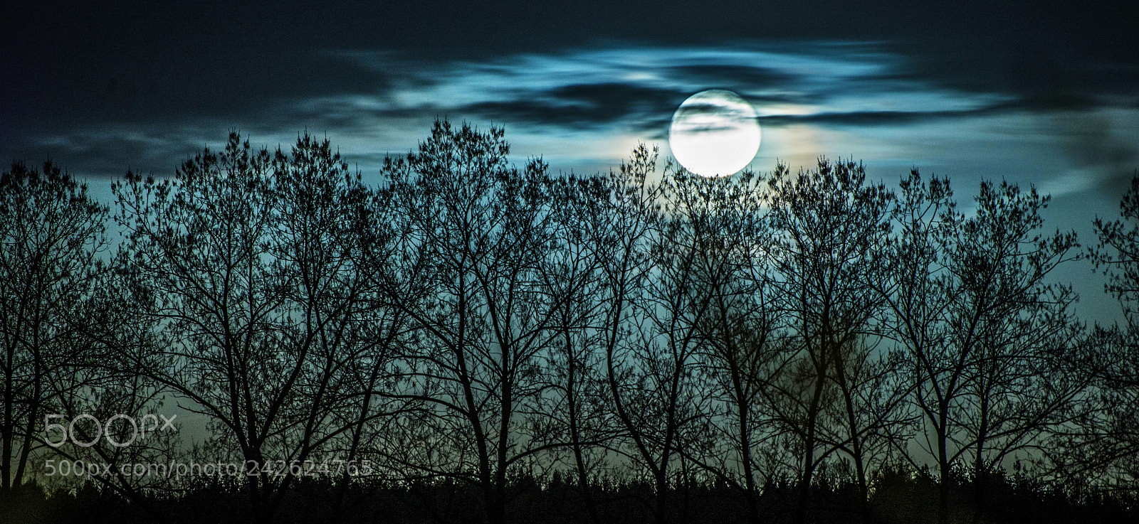 Nikon D600 sample photo. Blue landscape with full photography