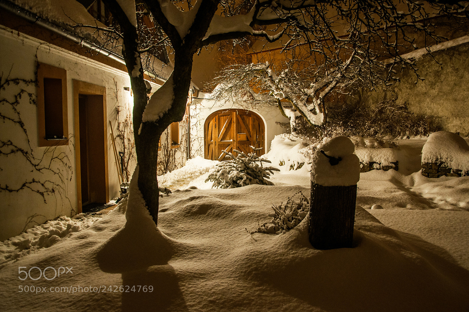 Nikon D90 sample photo. Snowy fairytail garden in photography