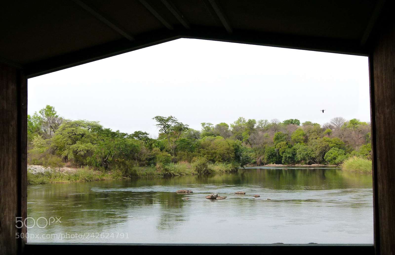 Panasonic Lumix DMC-FZ100 sample photo. Okavango river photography