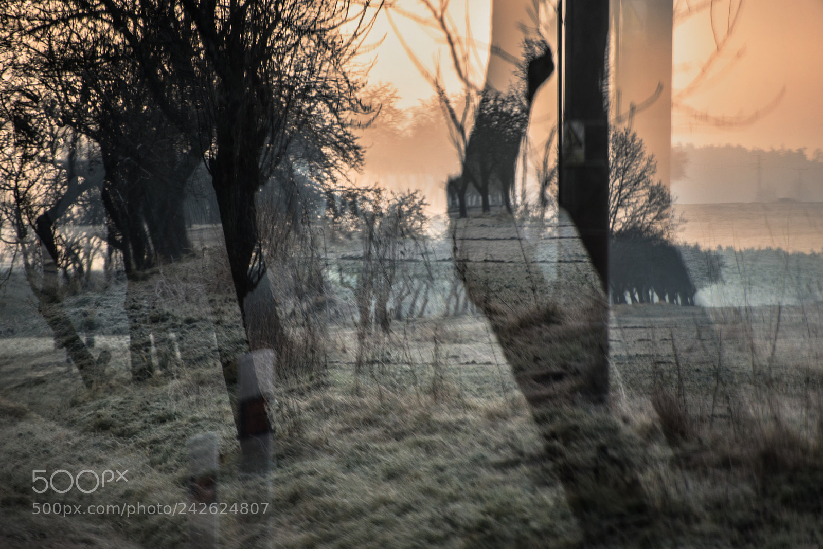 Nikon D600 sample photo. Winter landscape in double photography