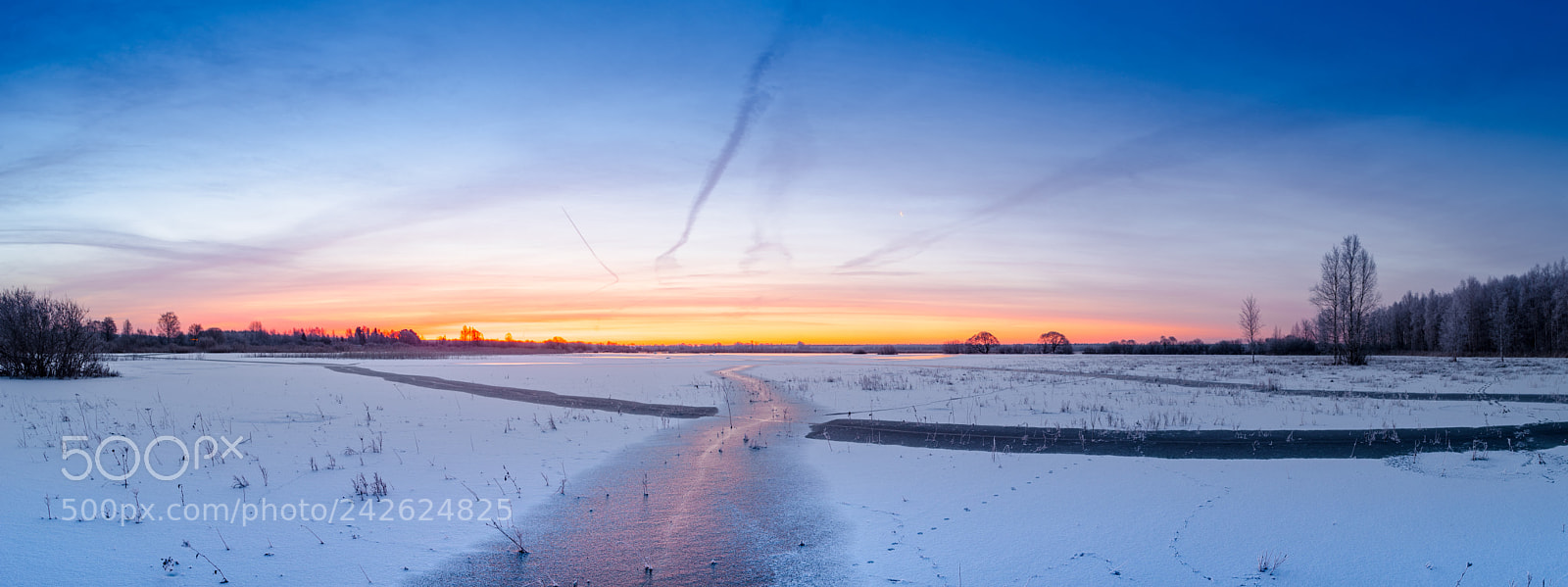 Pentax K-1 sample photo. Ice covered grassland photography