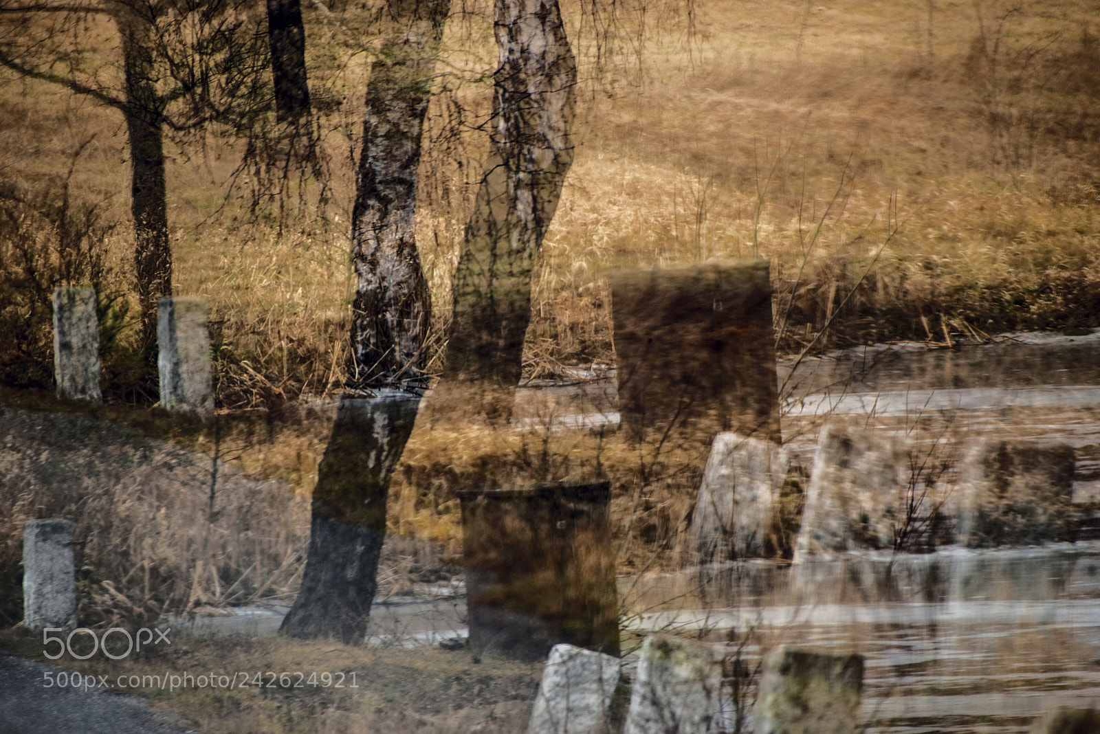 Nikon D600 sample photo. Winter landscape on way photography