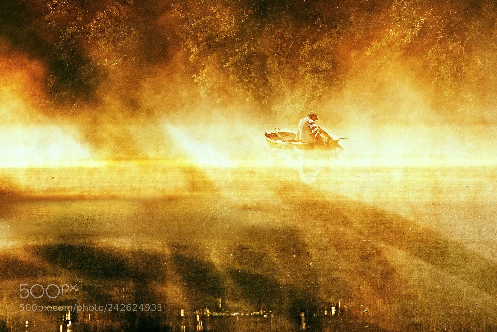 Nikon D600 sample photo. Golden mist on river photography