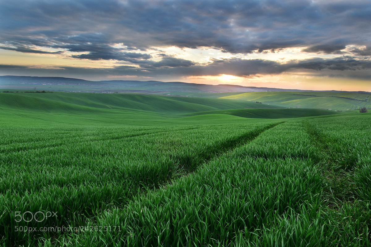 Nikon D5500 sample photo. Moody sunset in moravia photography