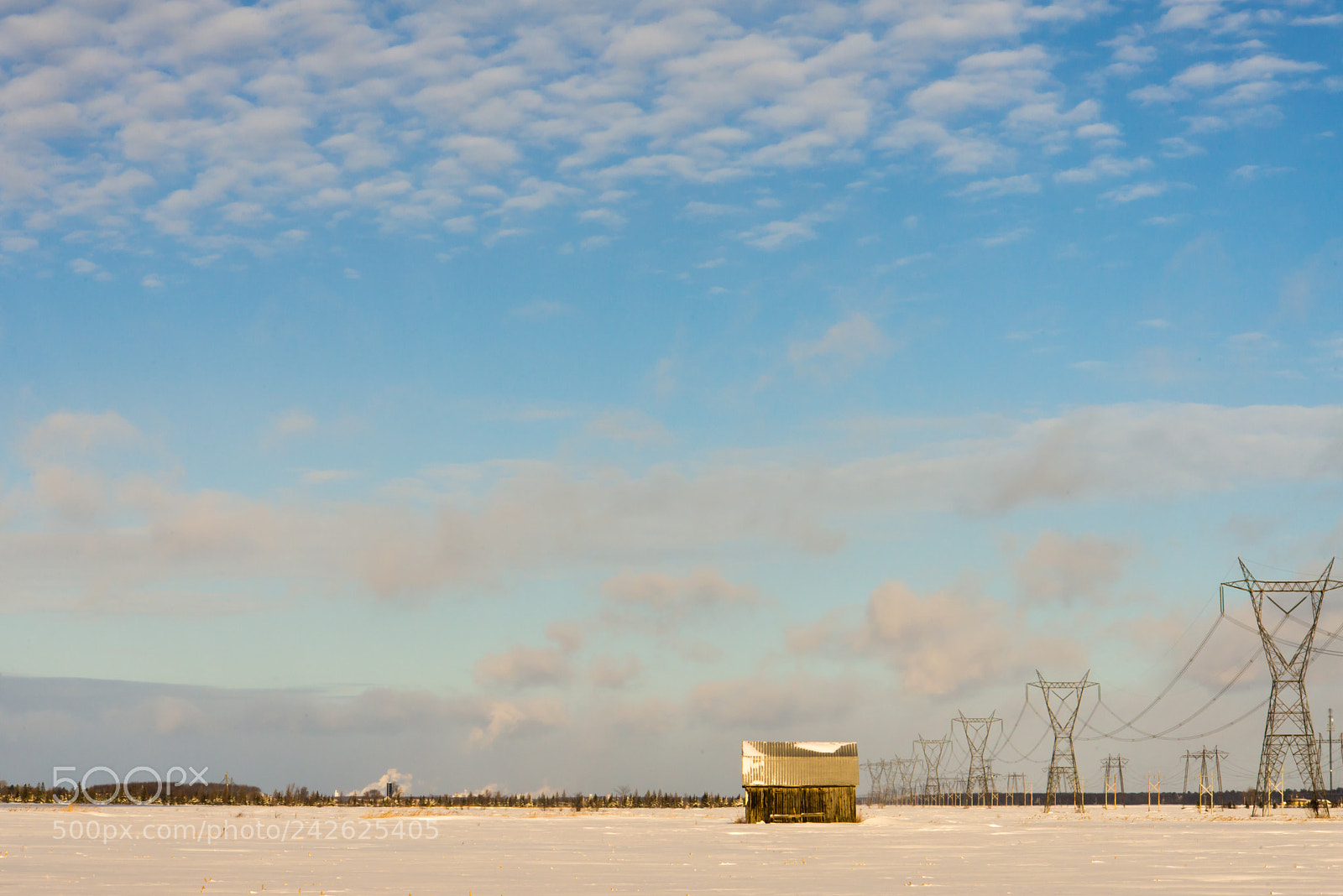 Nikon D610 sample photo. *** photography