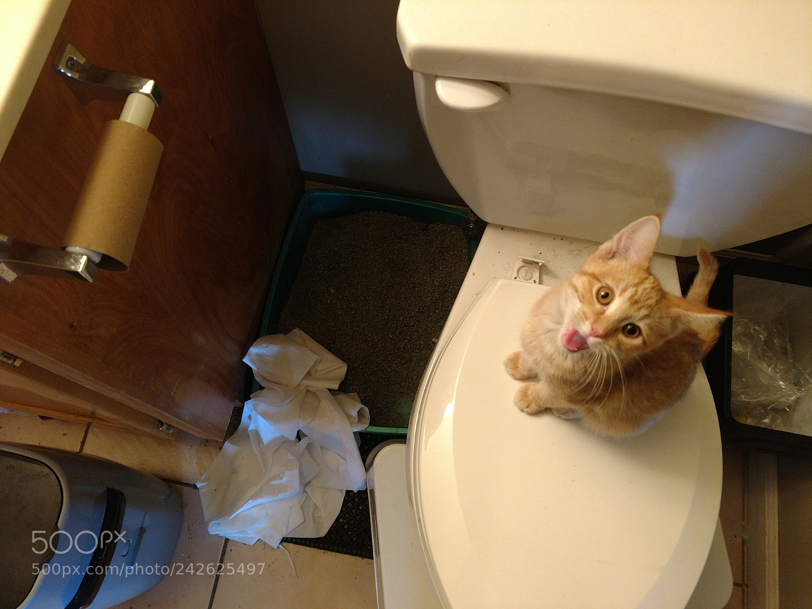 Motorola XT1650 sample photo. Innocence photography
