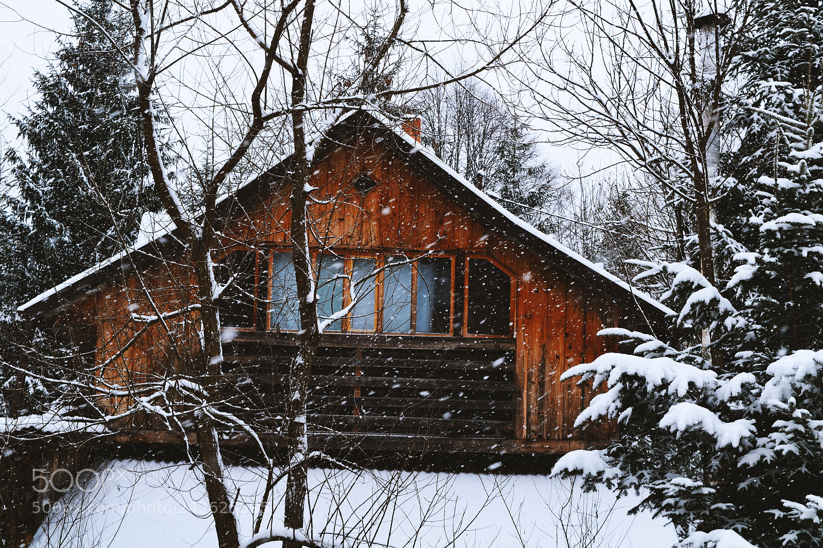 Nikon D3100 sample photo. Winter time photography