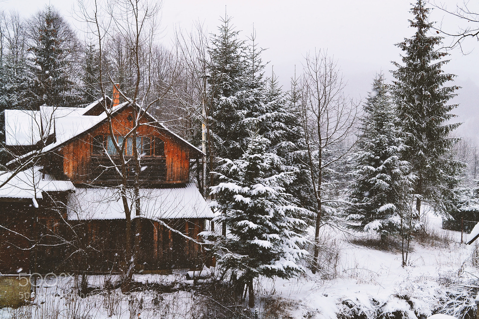 Nikon D3100 sample photo. Cottage in the forest photography
