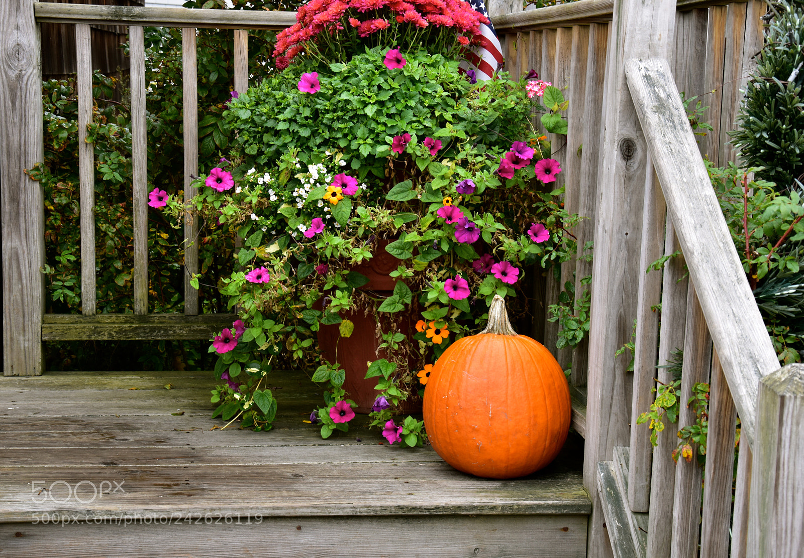 Nikon D5500 sample photo. Autumn decoration photography