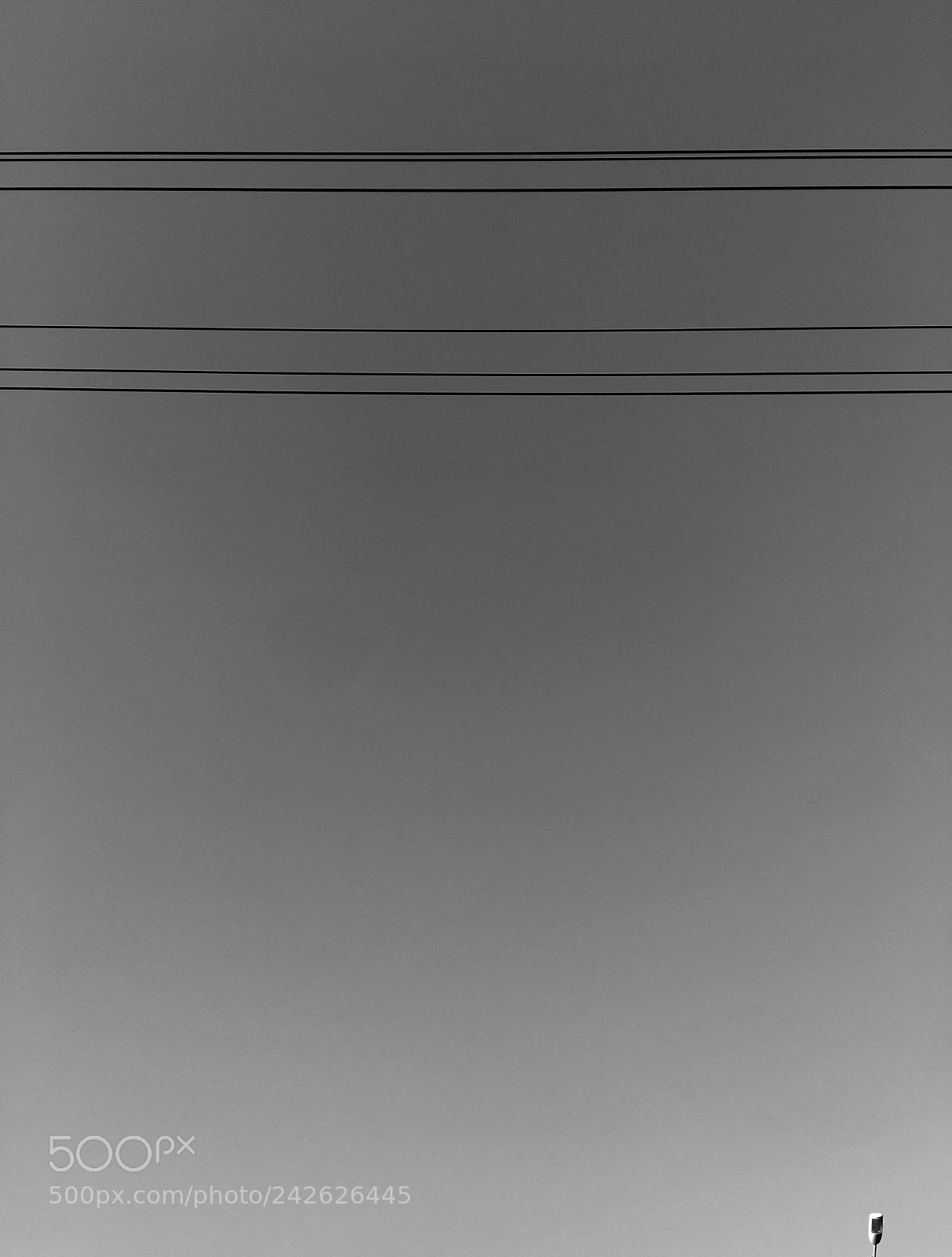 Apple iPhone 6s Plus sample photo. Untitled photography
