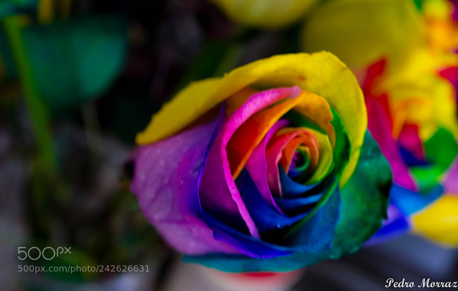 Nikon D3100 sample photo. Colores no hay pincel photography