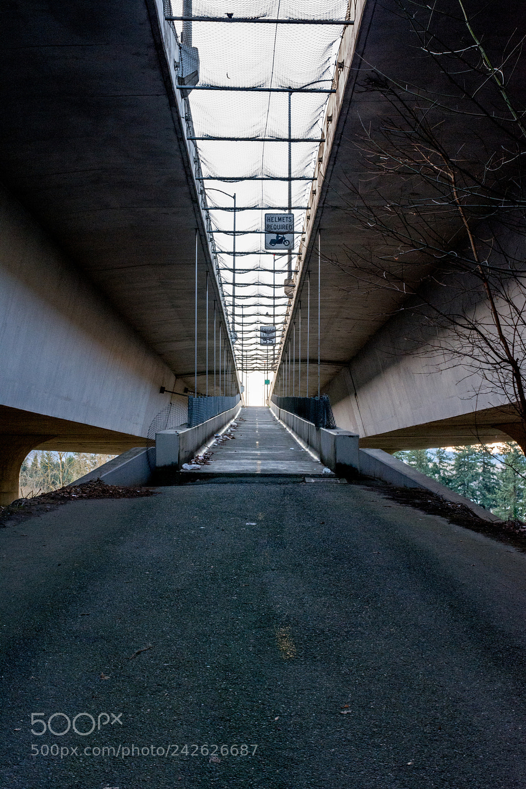 Nikon D7100 sample photo. Heading up photography