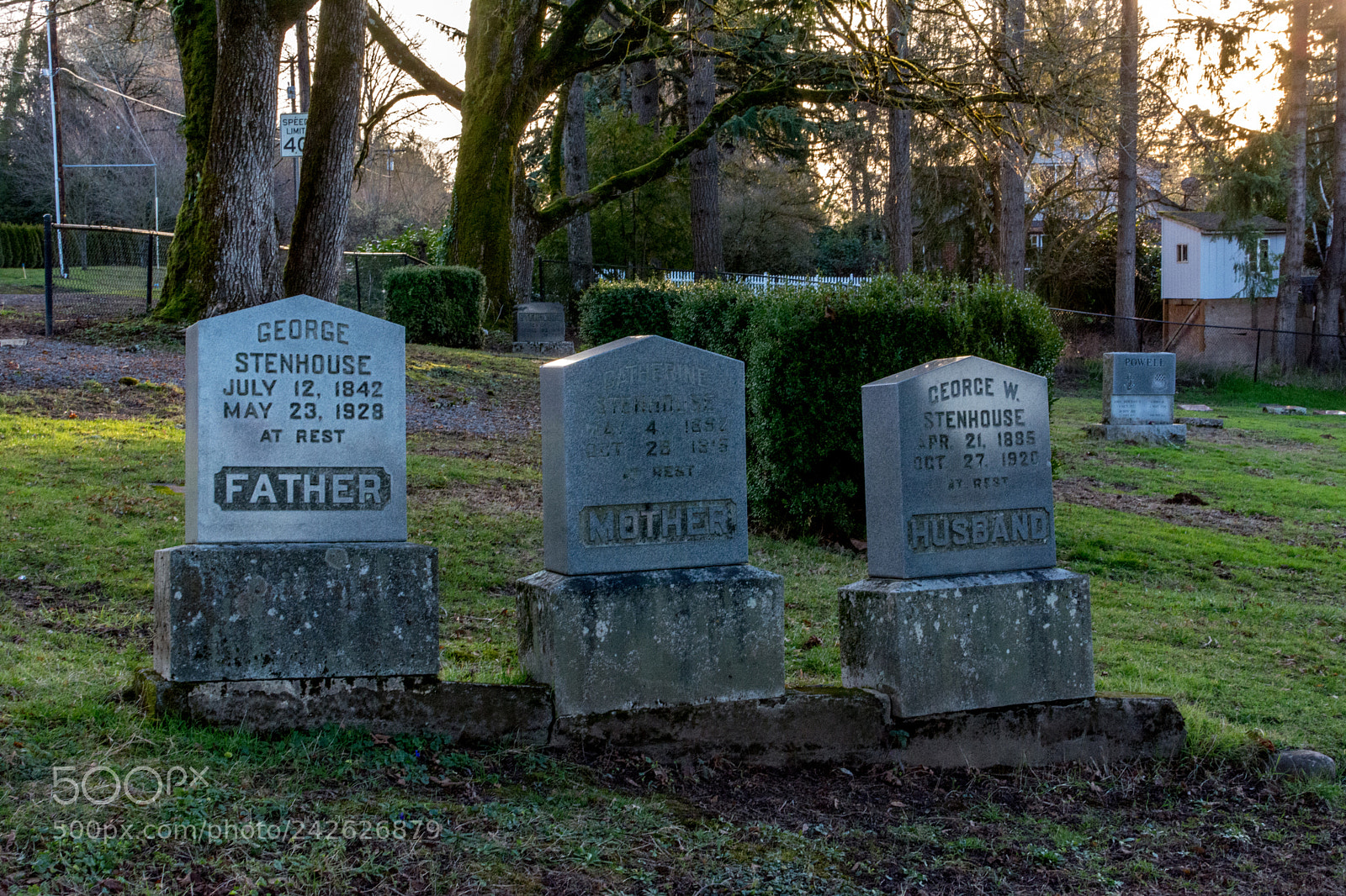 Nikon D7100 sample photo. The family steinhouse photography