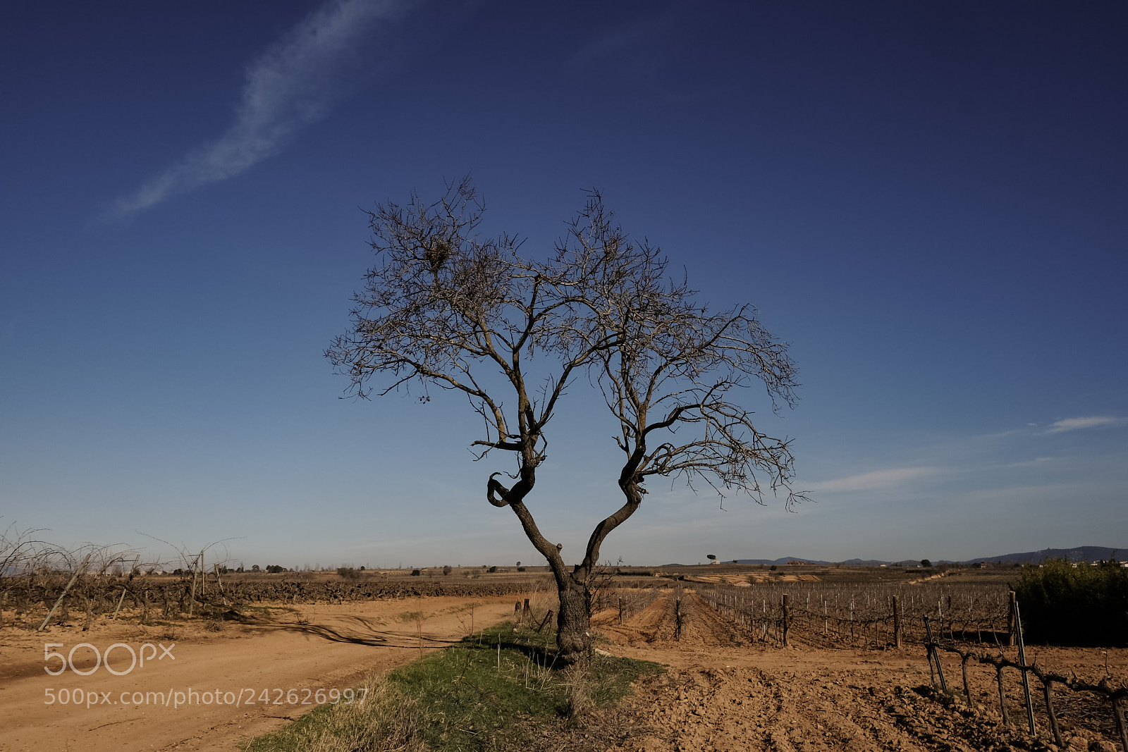Fujifilm X-T10 sample photo. Lonely outdoor photography