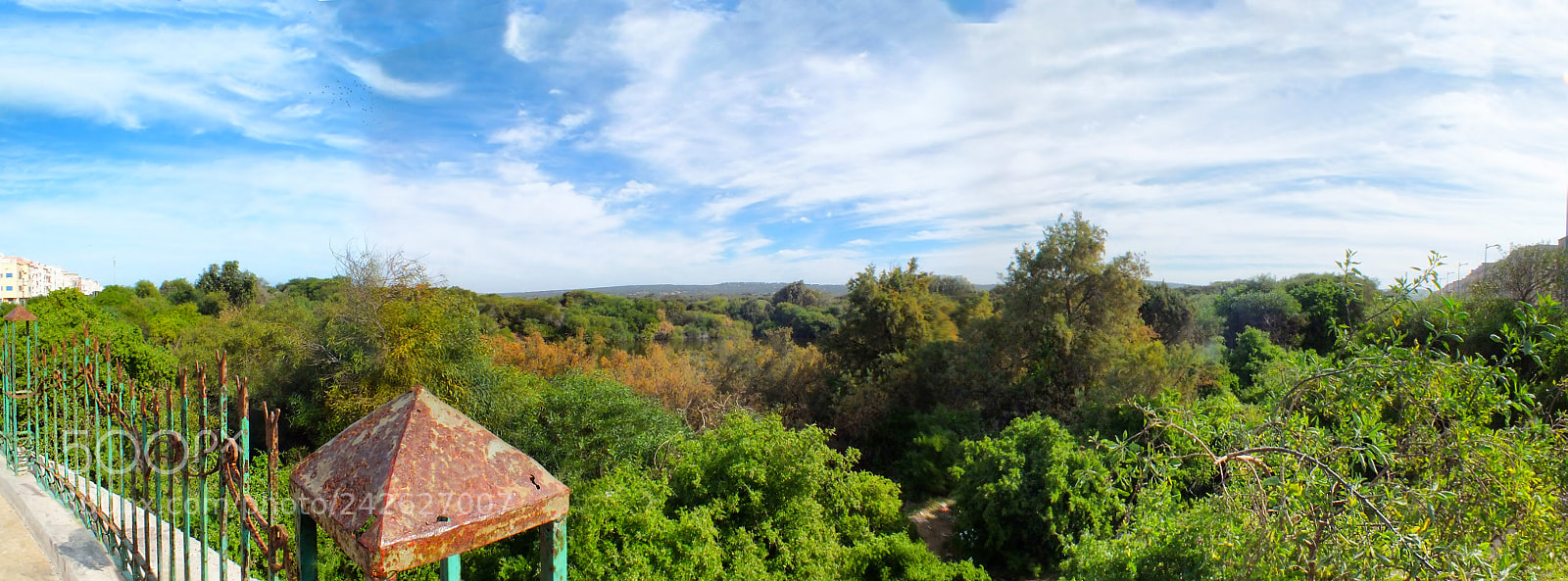 FujiFilm FinePix HS20 EXR (FinePix HS22 EXR) sample photo. Forest of essaouira photography
