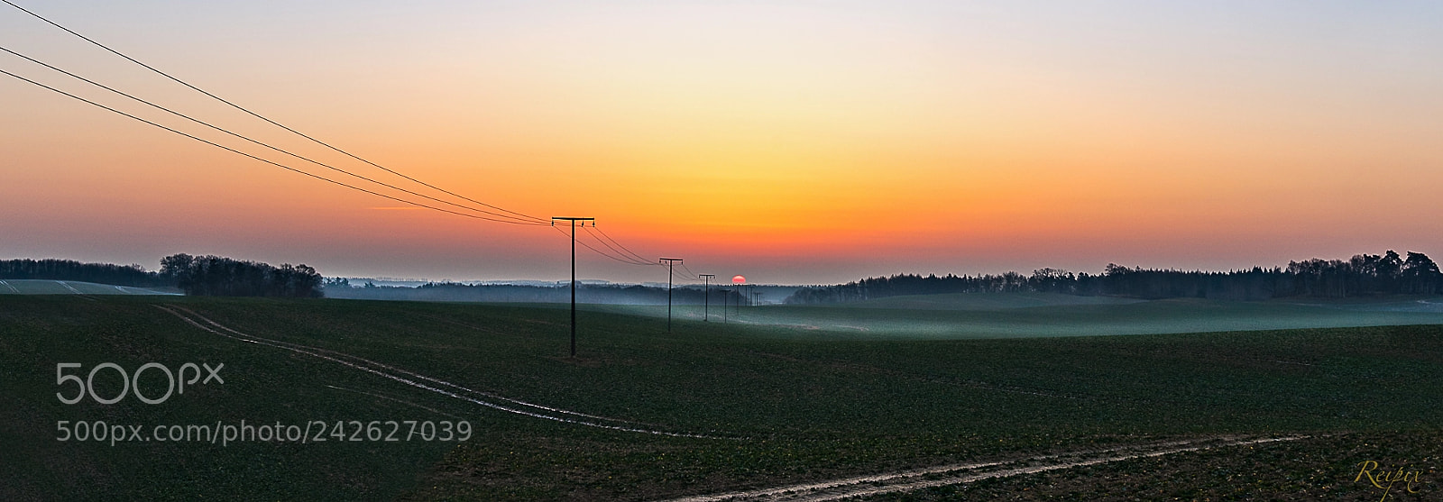 Sony a7R sample photo. Untitled photography