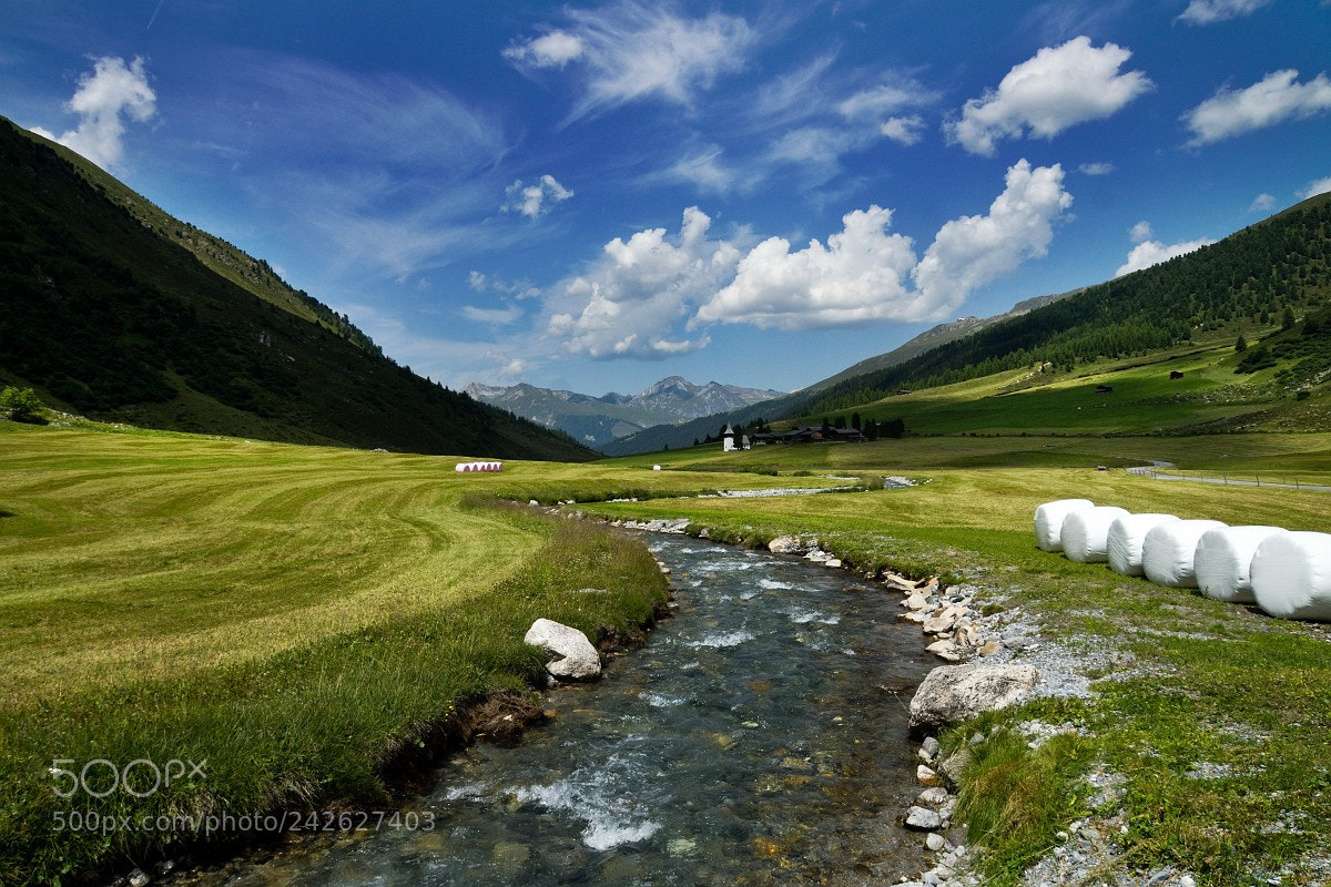 Sony SLT-A77 sample photo. Davos photography