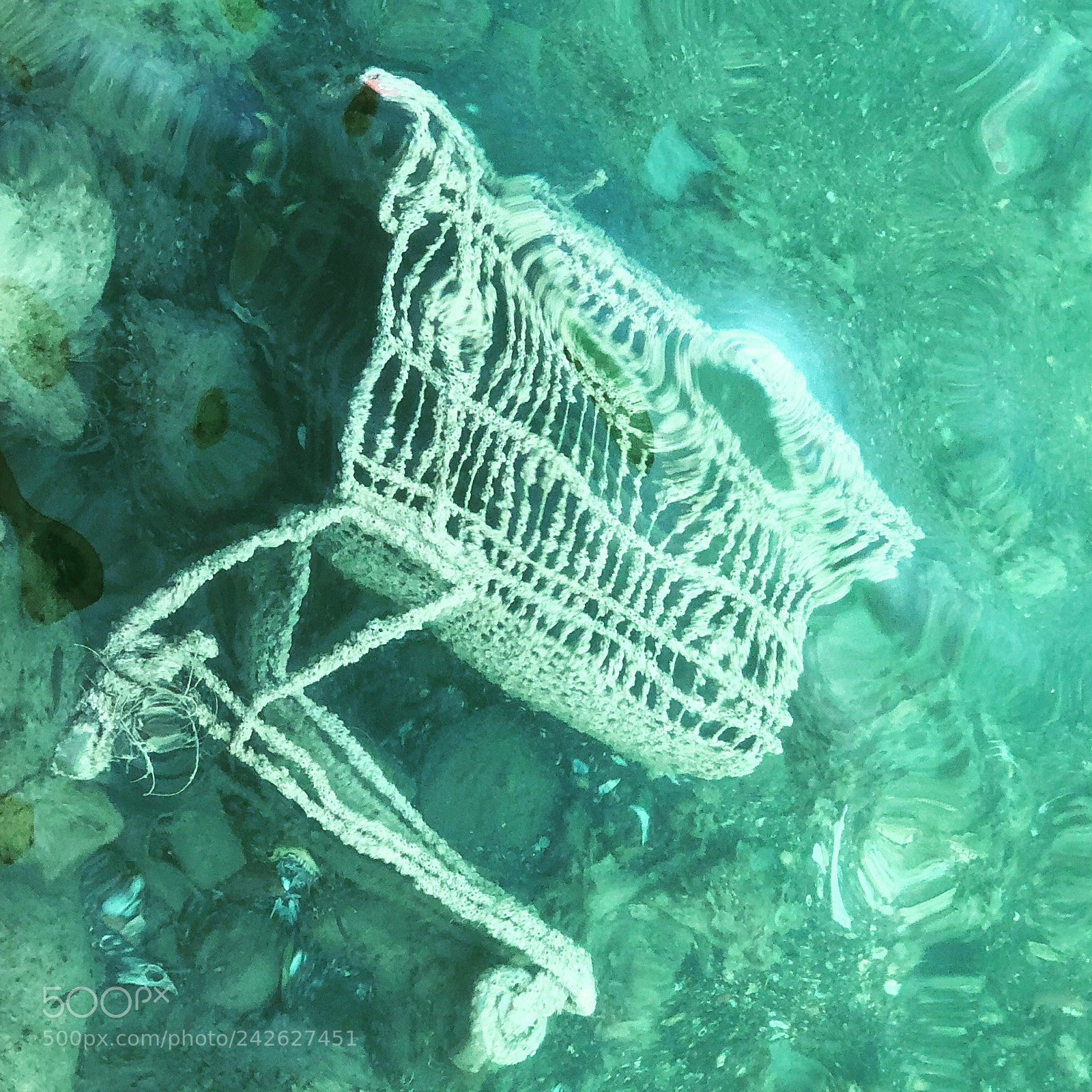 Apple iPhone X sample photo. Shopping cart drowned in photography