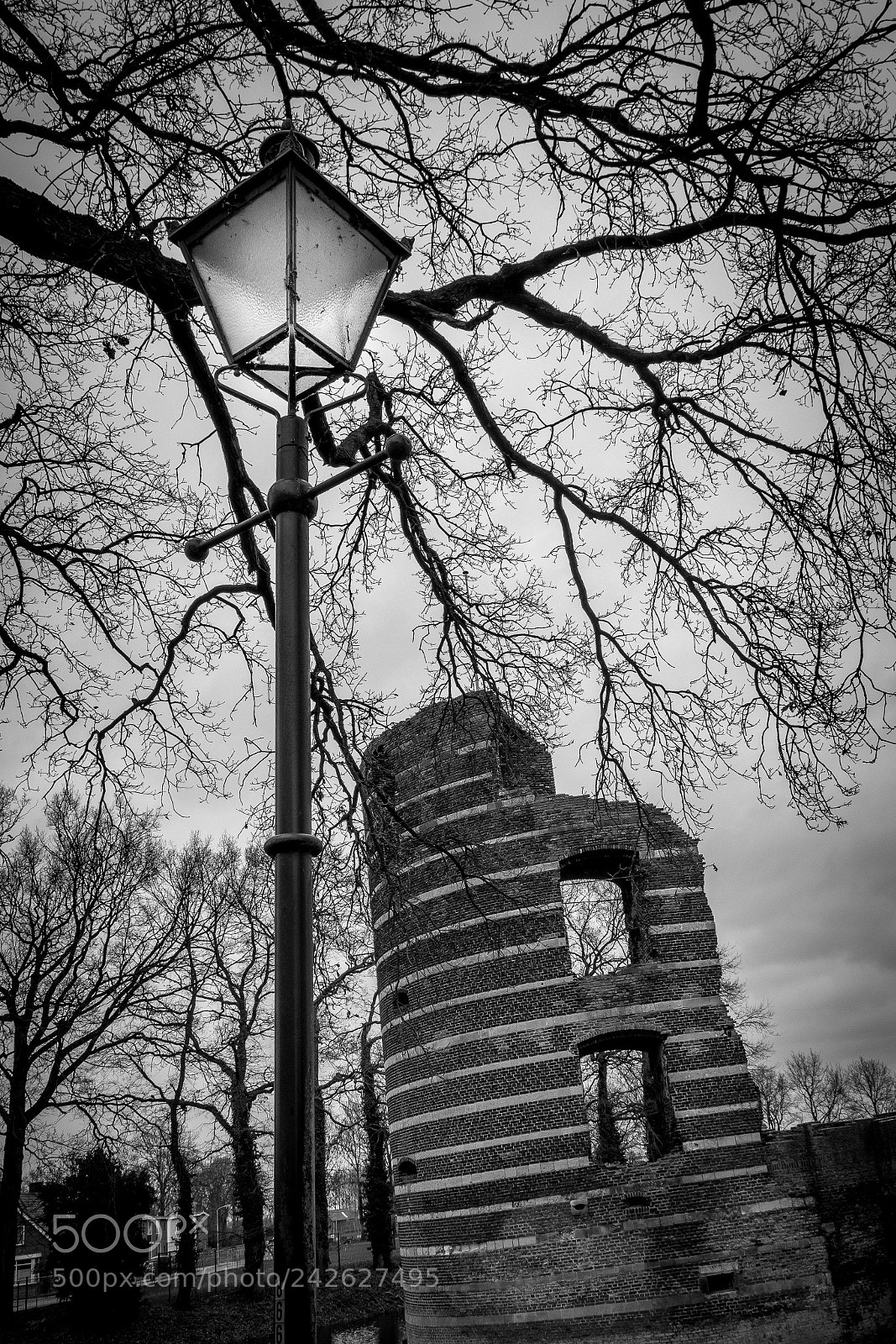 Nikon D7200 sample photo. Castle 'batenburg' photography