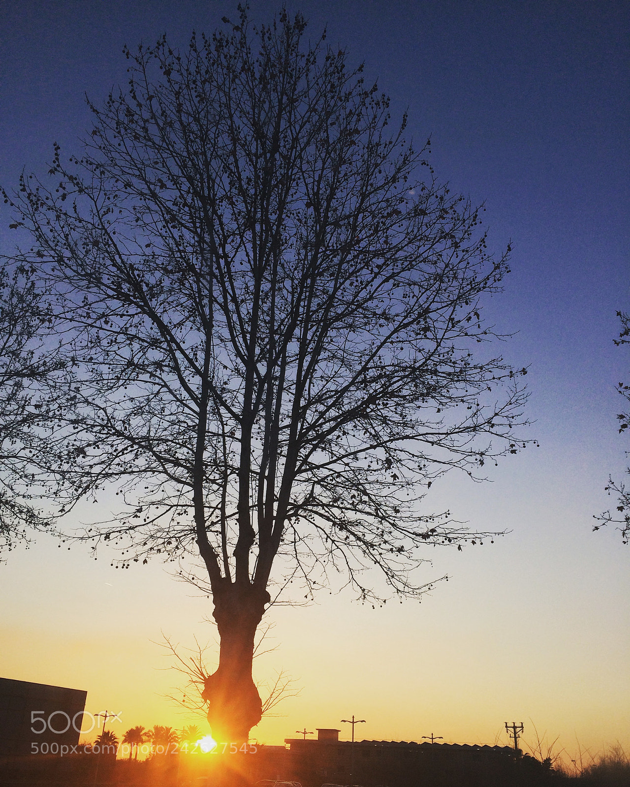 Apple iPhone 5s sample photo. Dedicato a tutti quelli photography