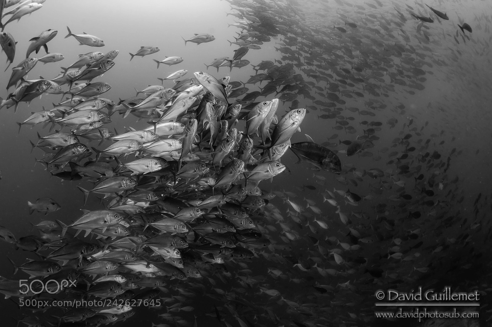 Nikon D7100 sample photo. Rush hour in cap photography