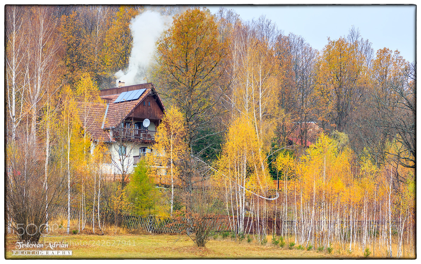 Canon EOS 7D Mark II sample photo. Looking... photography