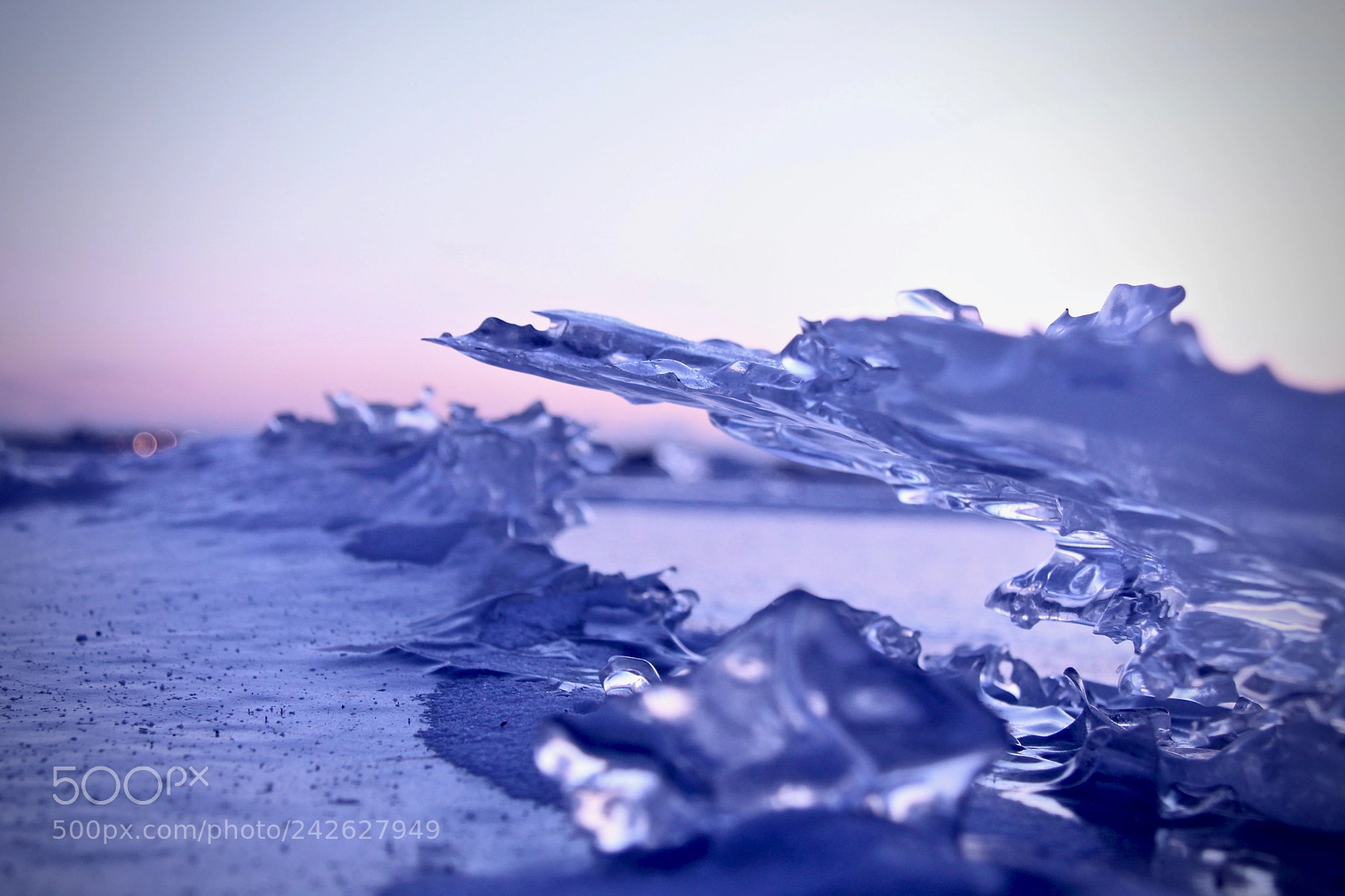 Canon EOS 50D sample photo. Untitled photography