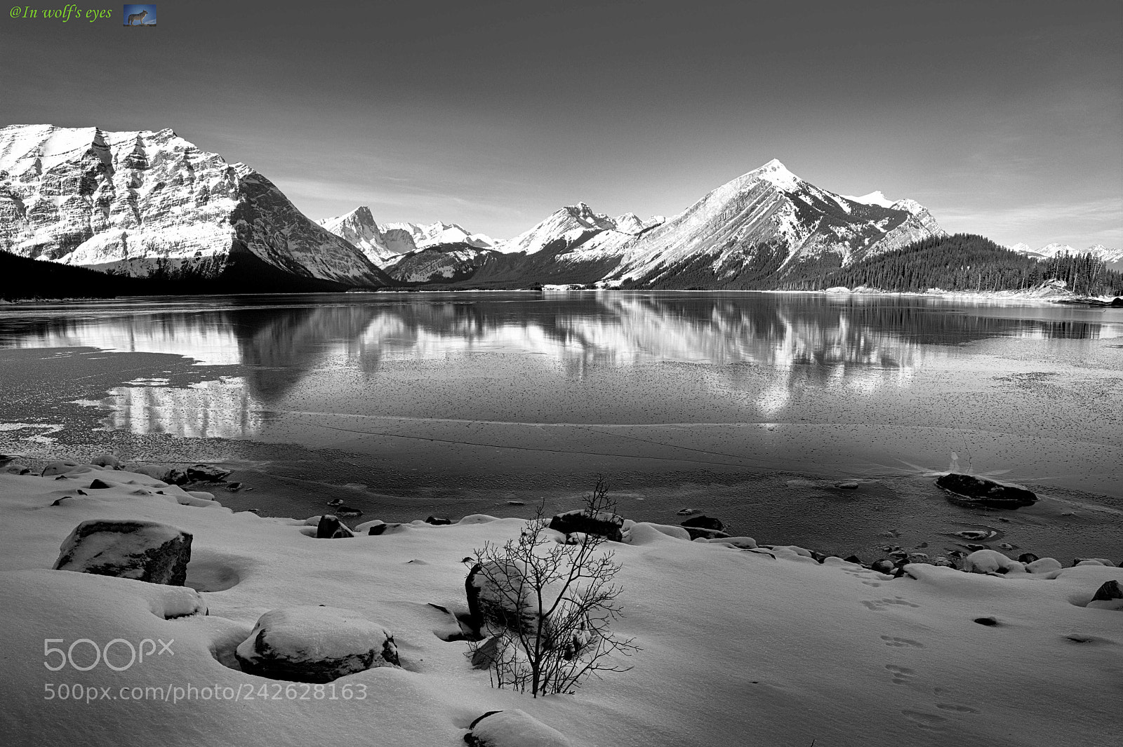 Nikon D500 sample photo. Lake side, canada photography