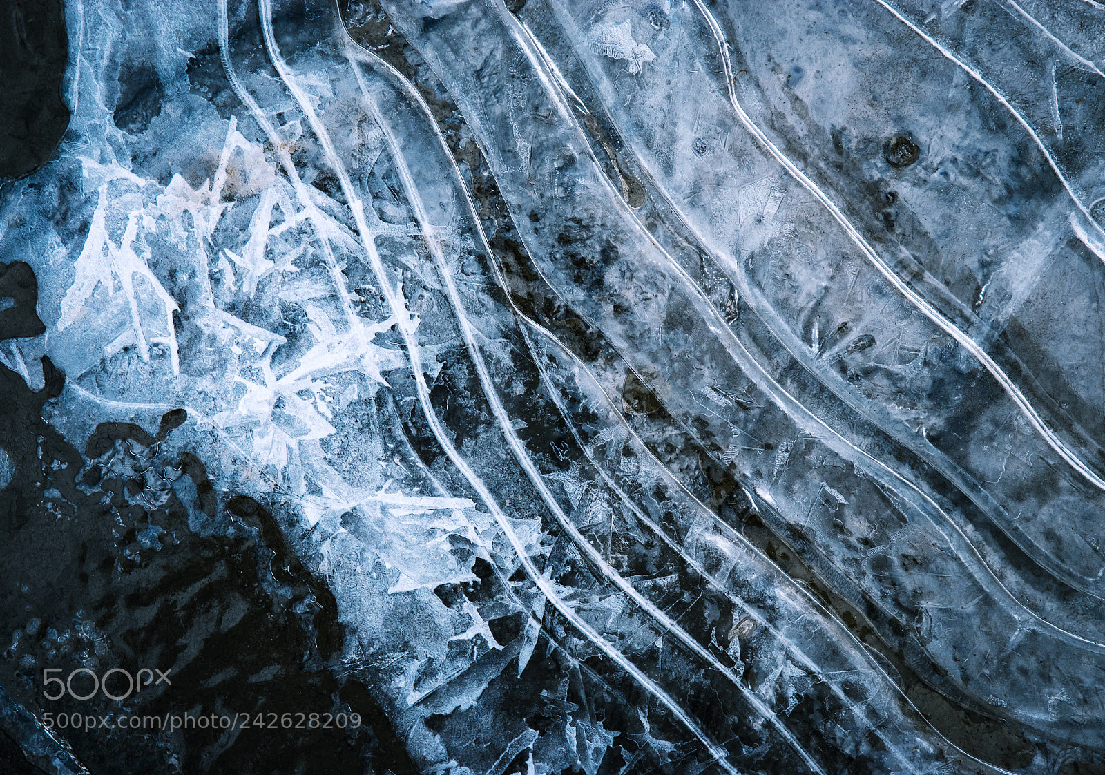 Nikon D5500 sample photo. Winter water level photography