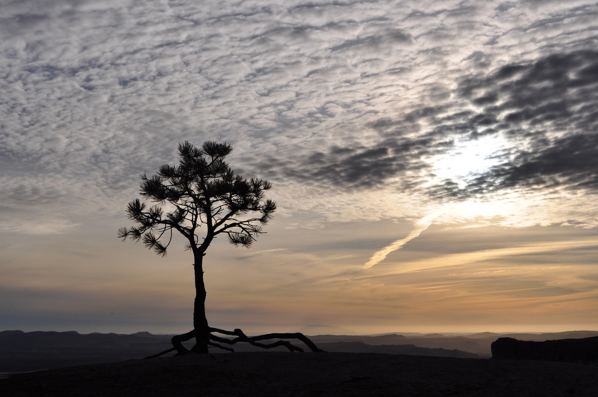 Nikon D90 sample photo. Simplicity photography