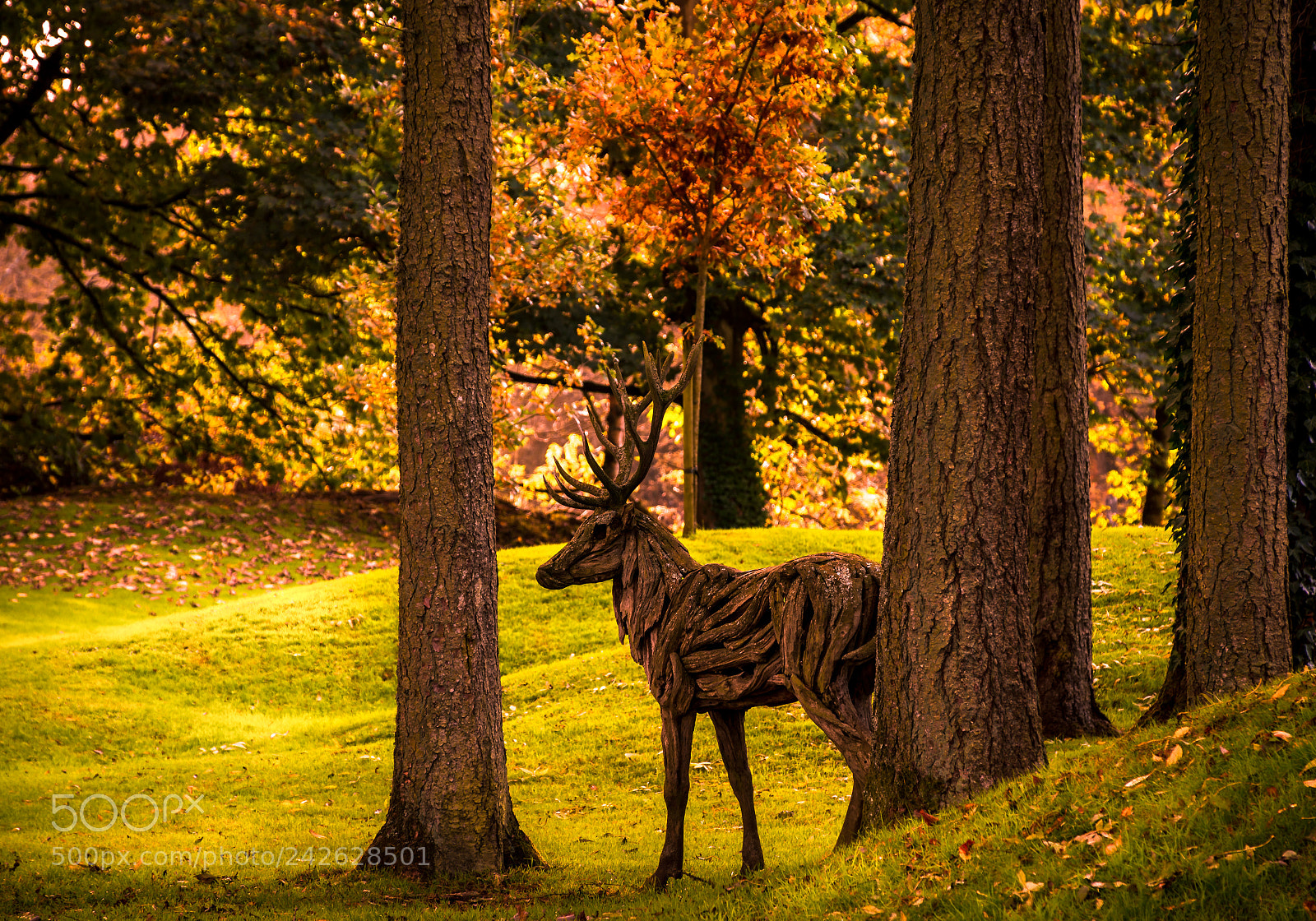 Nikon D610 sample photo. Art in the forest photography