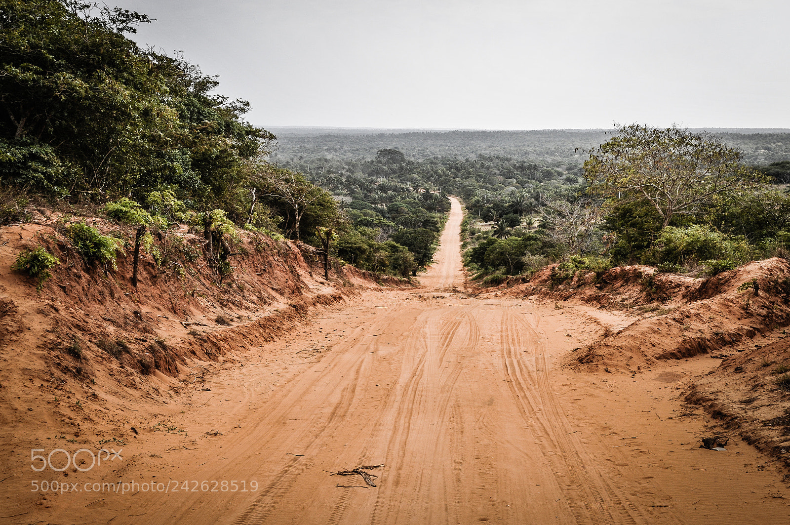 Nikon D300S sample photo. Sand road in mozambique photography