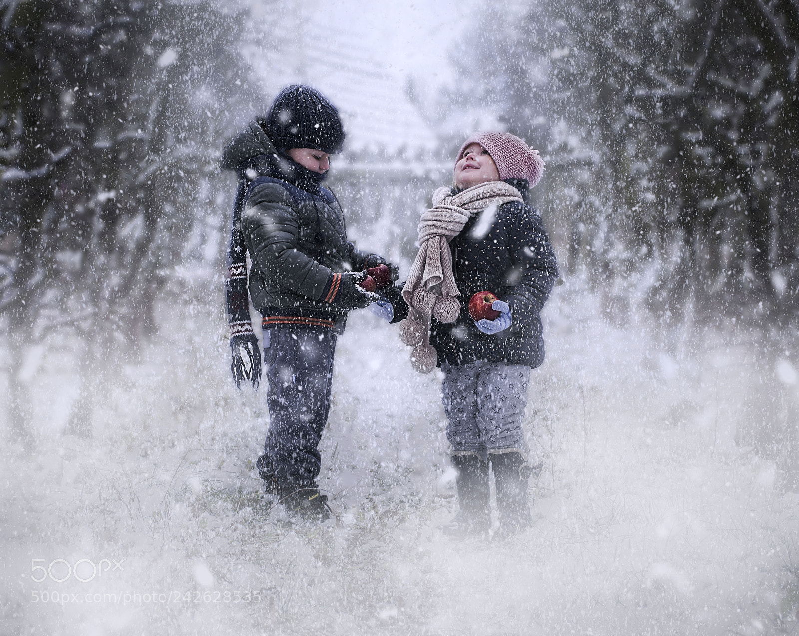 Nikon D3100 sample photo. Wintertime photography
