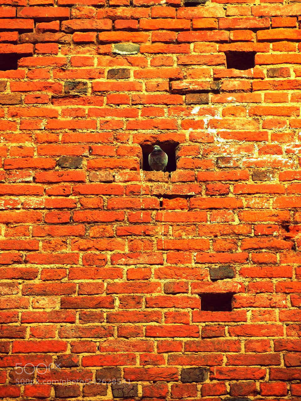 Olympus E-420 (EVOLT E-420) sample photo. The wall photography