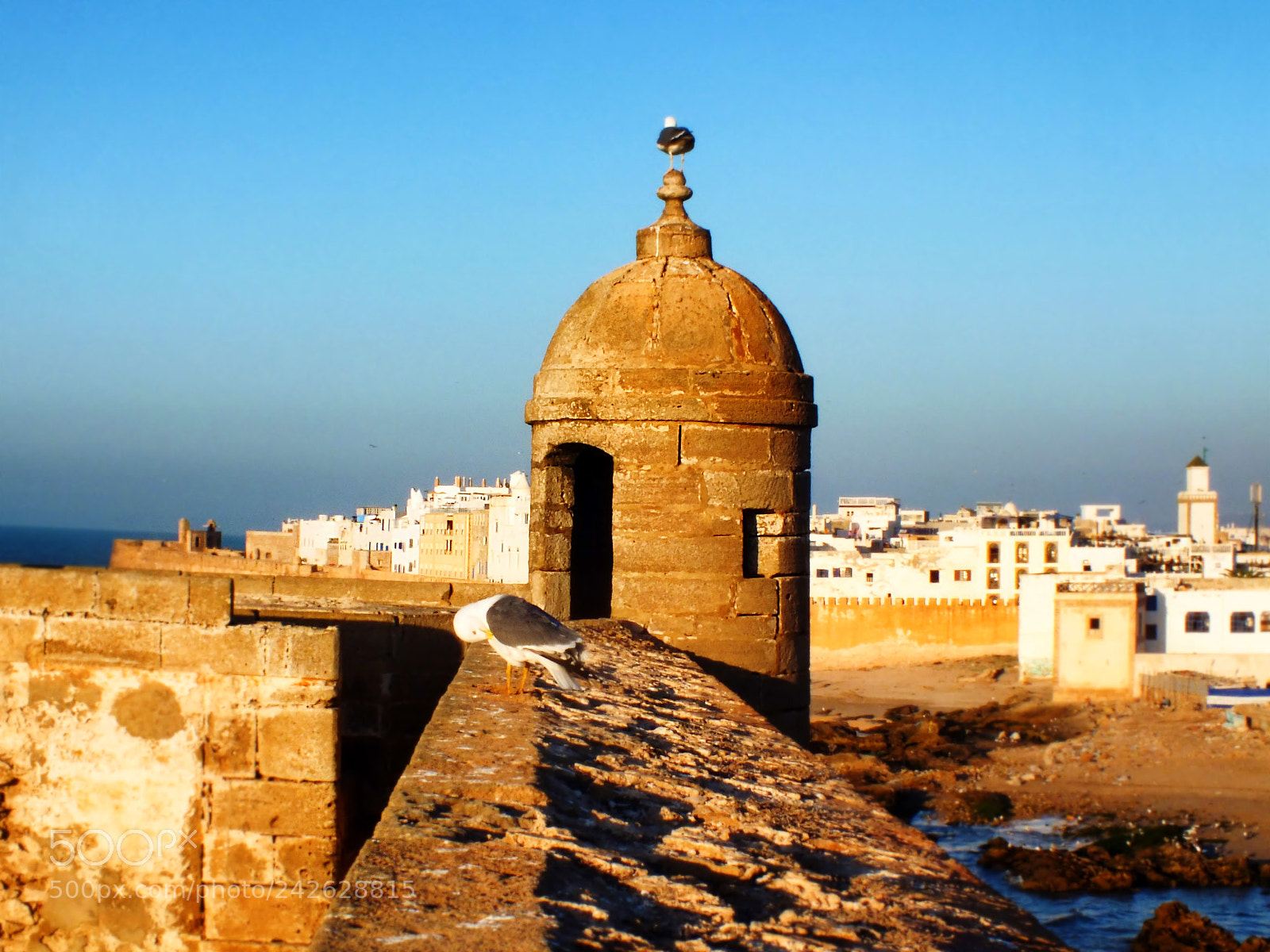 FujiFilm FinePix HS20 EXR (FinePix HS22 EXR) sample photo. Skala du port, essaouira photography