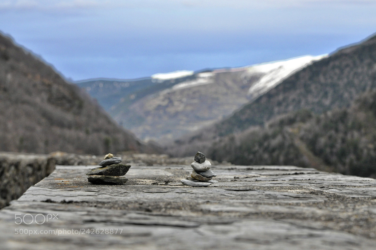Nikon D90 sample photo. Mini cairns photography