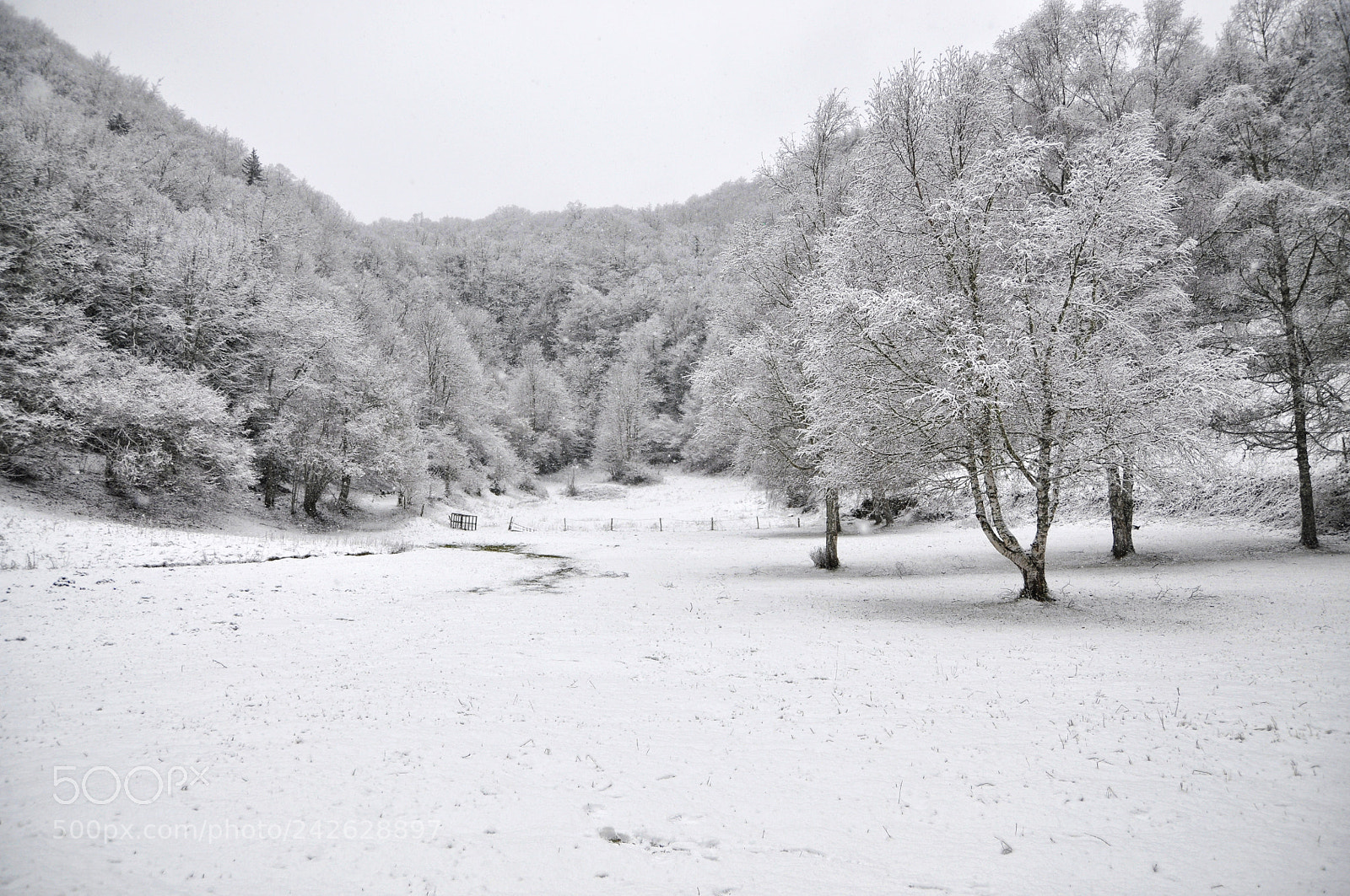 Nikon D90 sample photo. Manteau blanc photography