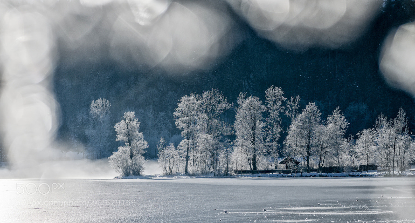 Nikon D850 sample photo. Icy morning photography