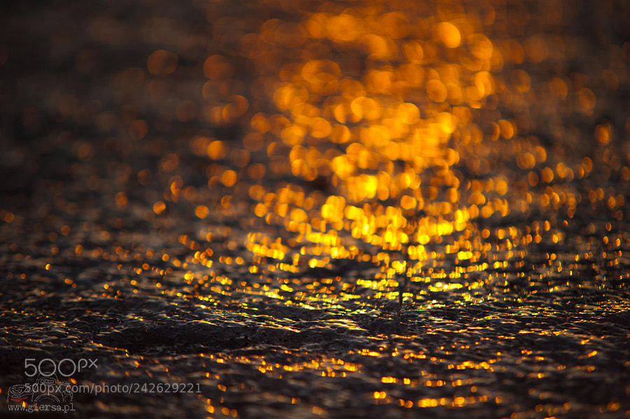 Nikon D700 sample photo. Ice bokeh photography