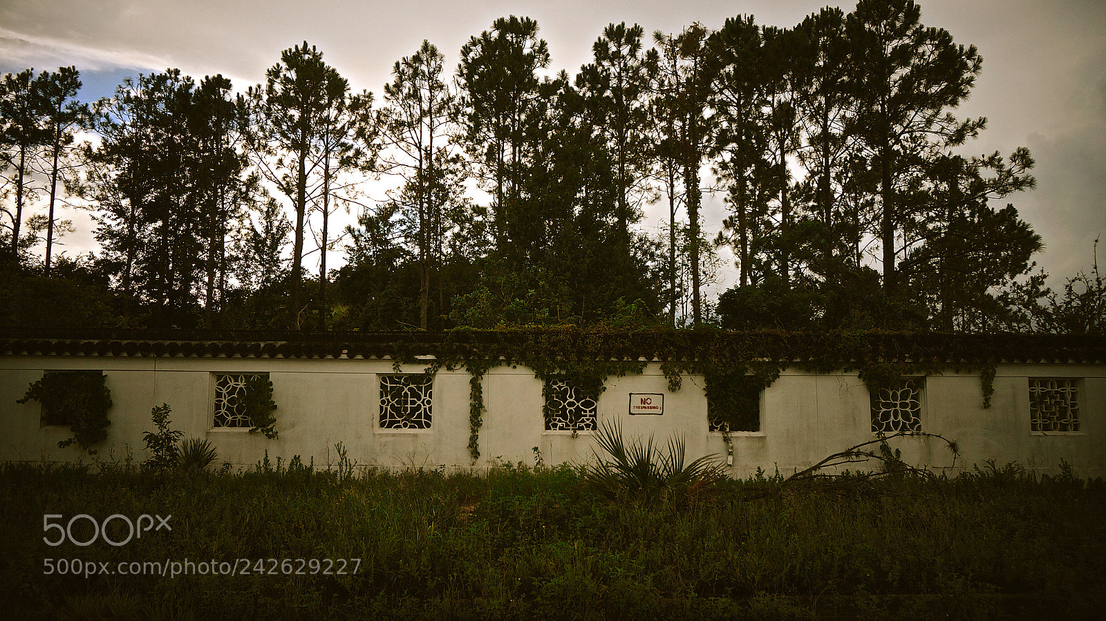 Sony Alpha NEX-3N sample photo. Abandoned orlando photography