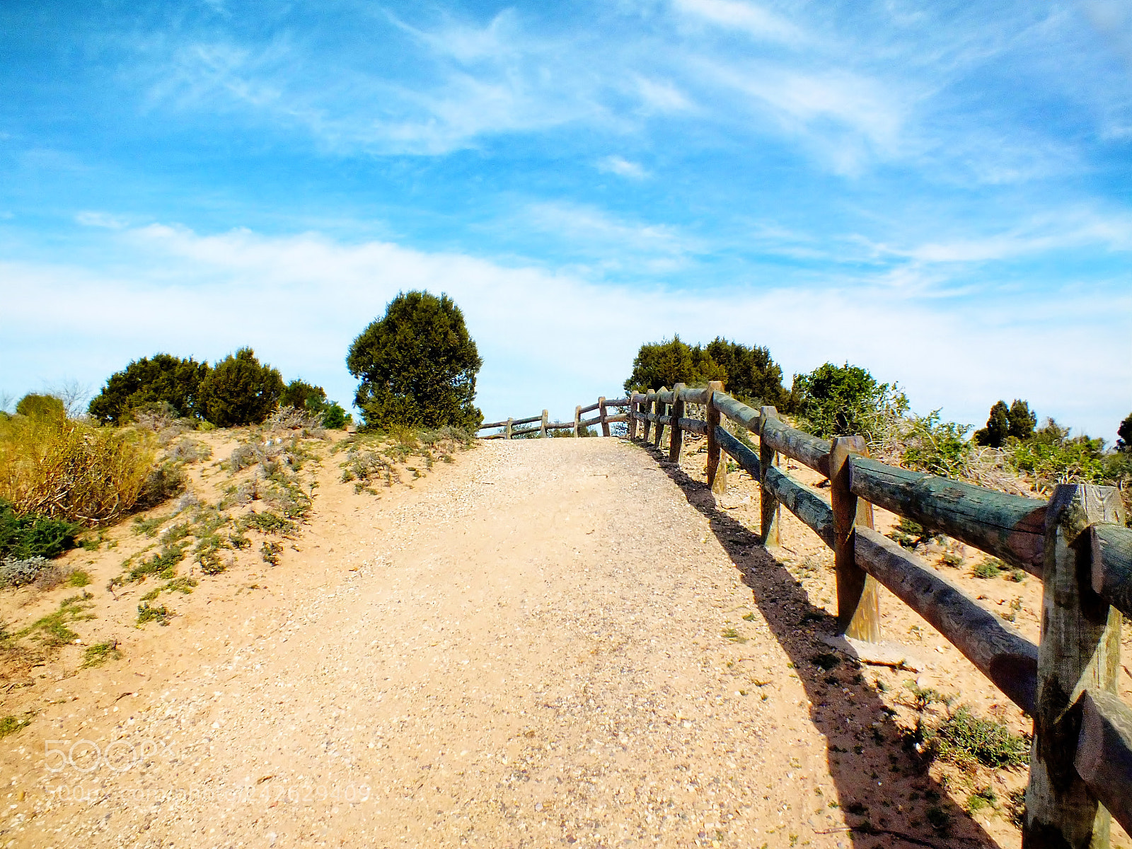 FujiFilm FinePix HS20 EXR (FinePix HS22 EXR) sample photo. Essaouira  forest photography