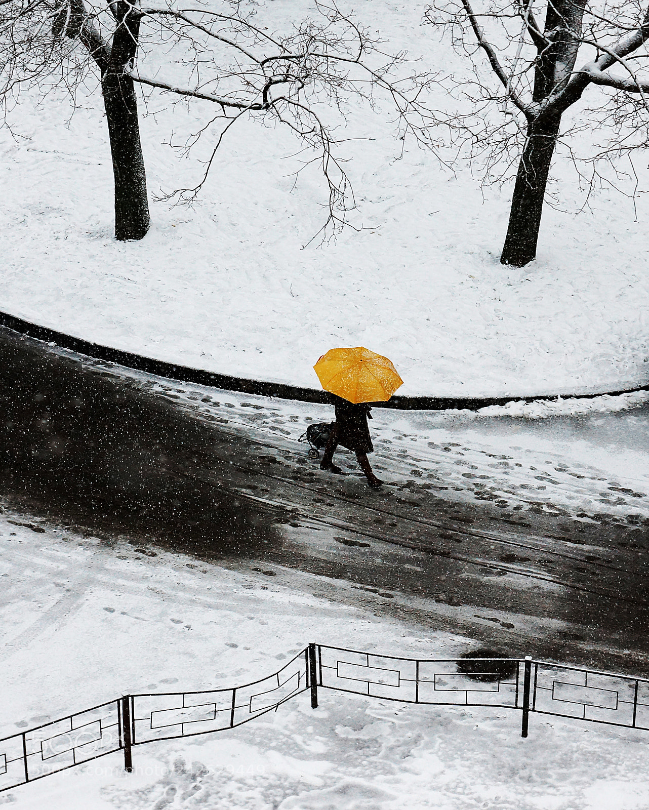 Sony SLT-A77 sample photo. Yellow umbrella photography