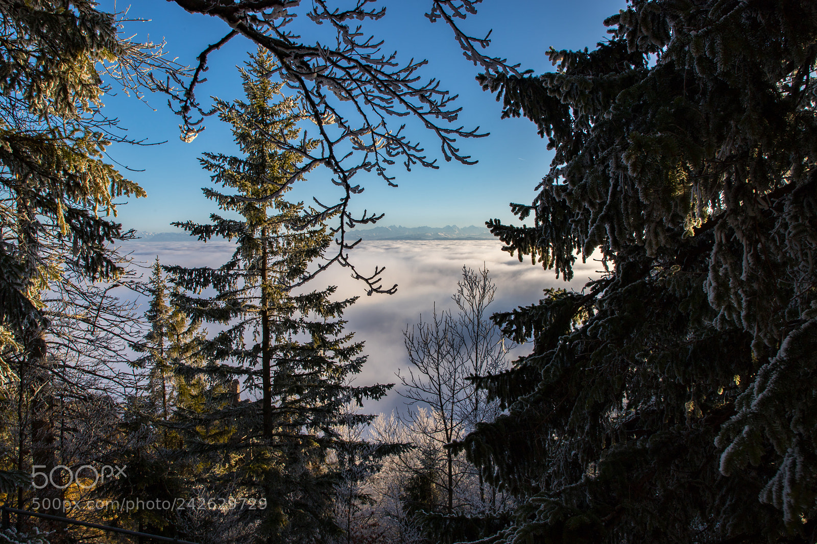 Canon EOS 6D Mark II sample photo. Sea of fog photography