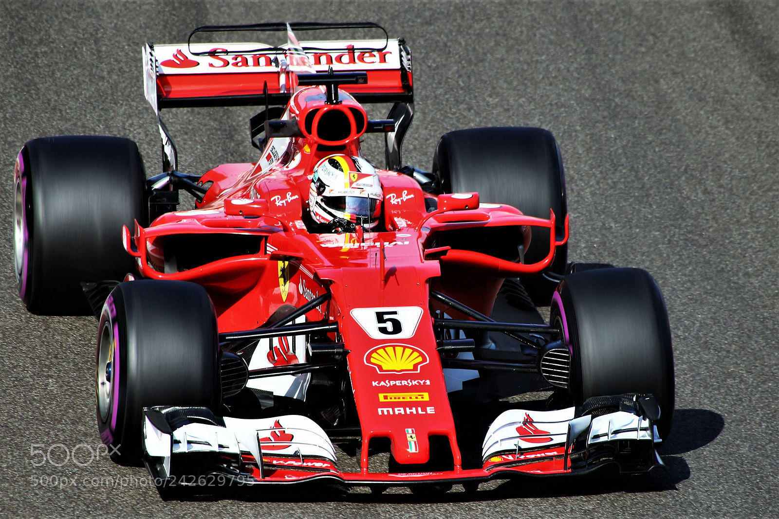 Canon EOS 7D Mark II sample photo. Vettel photography