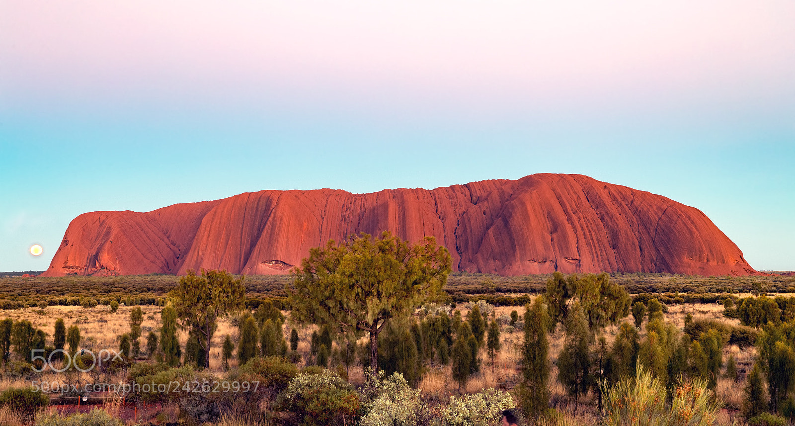 Canon EOS-1D X Mark II sample photo. Sunrise at uluru photography